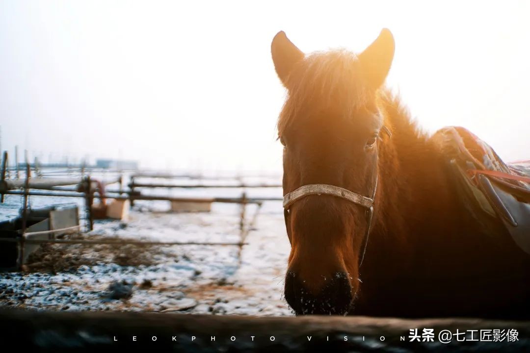 七工匠50mm和35mm哪个合适,趣味体验