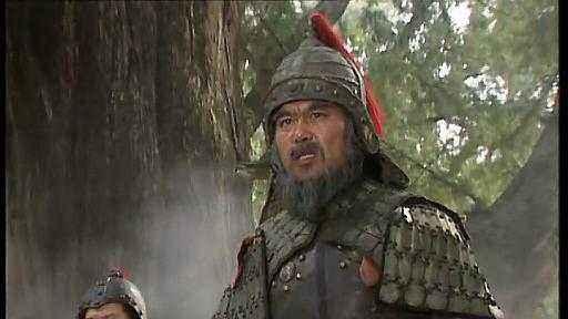 卧龙吟魏国武将,为何邓艾能入武庙而姜维不行
