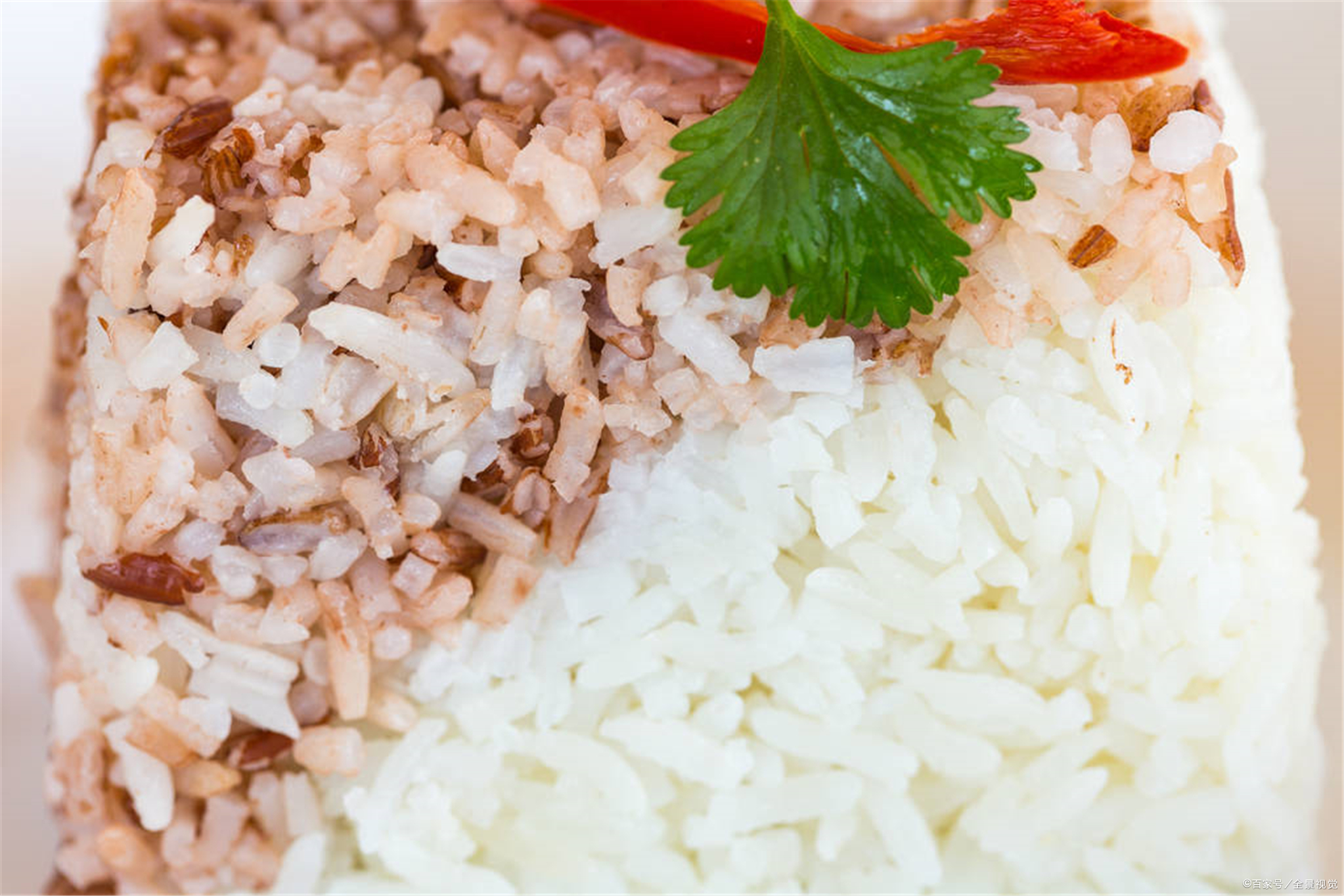 怎么煮出又软又糯的糙米饭,糙米饭怎么煮更软糯过程