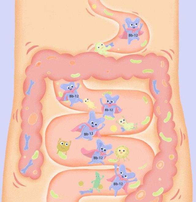 吃抗生素能治拉肚子吗,服用抗生素引起腹泻