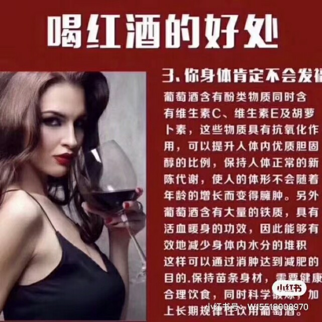 守望之豹红酒法国进口,正宗原瓶原装进口澳洲法国红酒