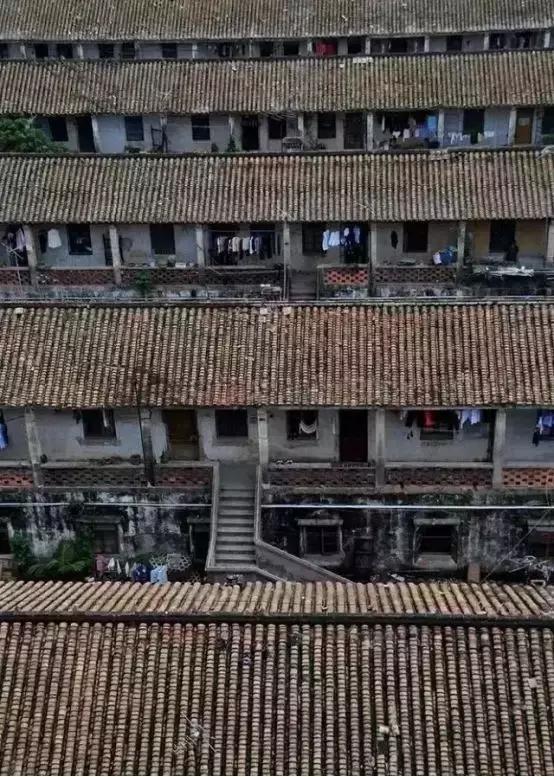 芳华60载|碧桂园与茂名共成长