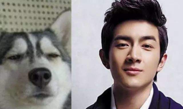 易烊千玺林更新年龄差,林更新与易烊千玺长得像吗