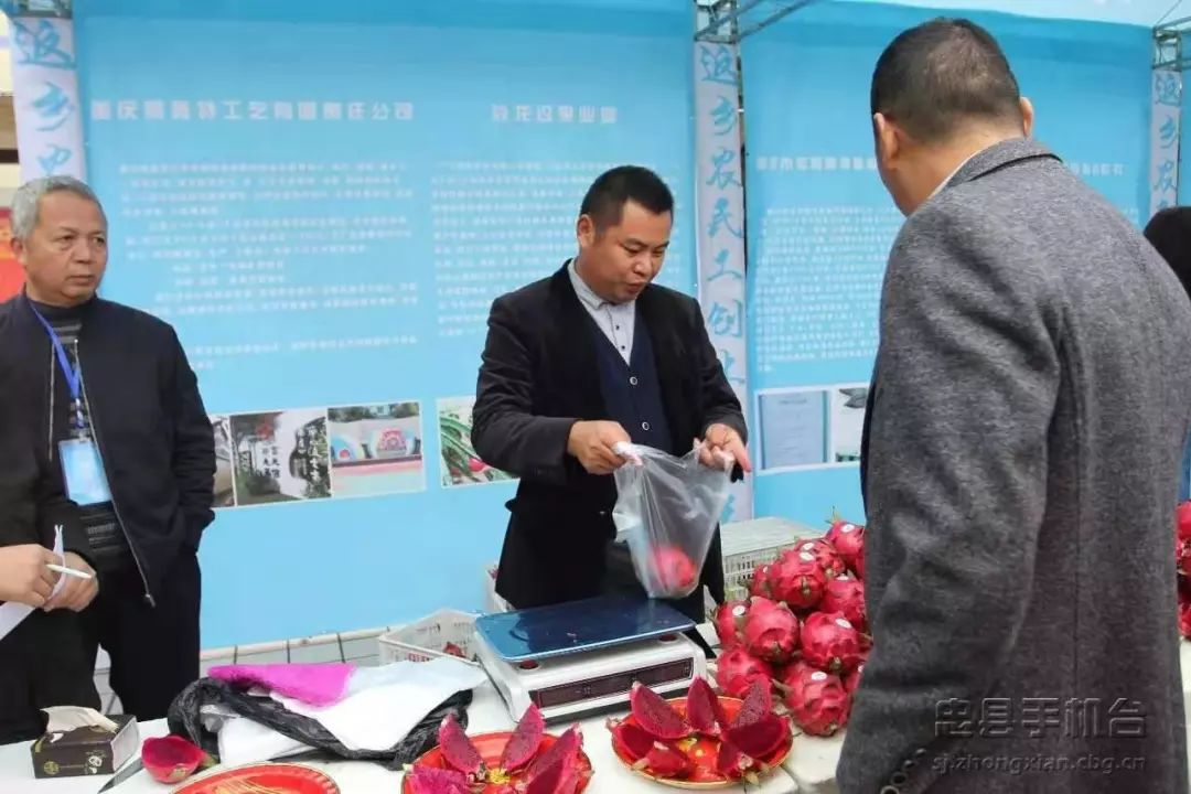 农民返乡创业应该做什么,忠县创业项目有哪些