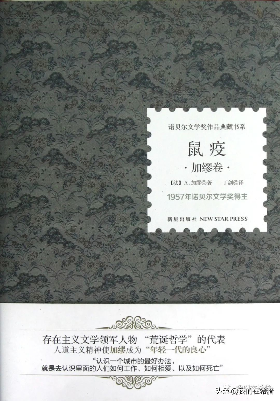 希腊已经确诊三例了，如何让宅在家里的生活变的更有意义？