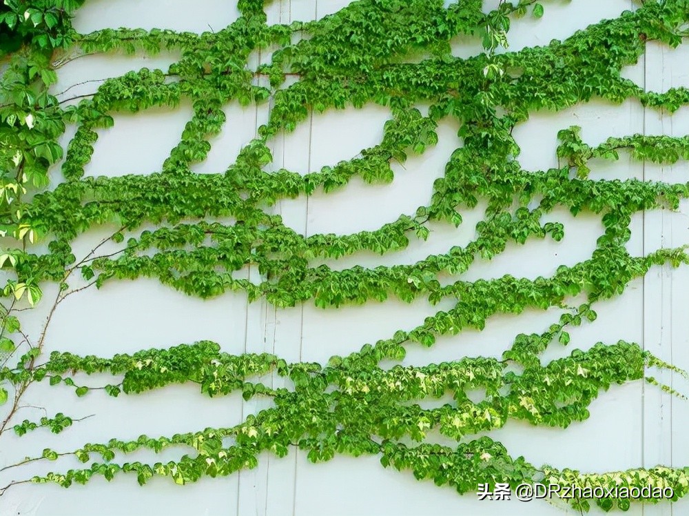 近视防控报告解读直播,近视管理白皮书最新