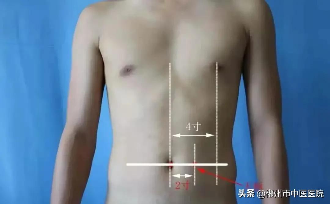 减肥不必运动怎么减,减肥不用饿肚子的秘诀