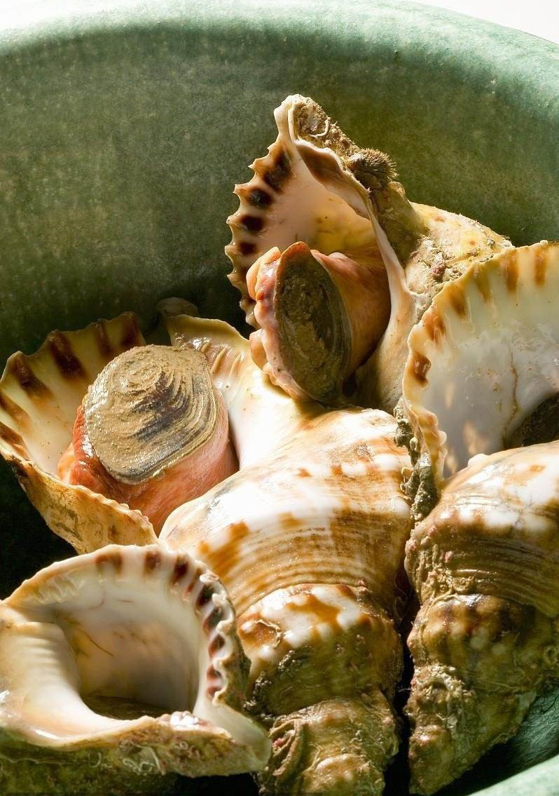 海螺煮几分钟最好吃,海螺怎么煮才是正确方法