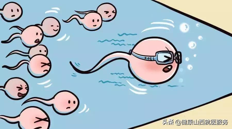 精子死精成活率低应怎么调理,精子是活的还是死的怎么判别