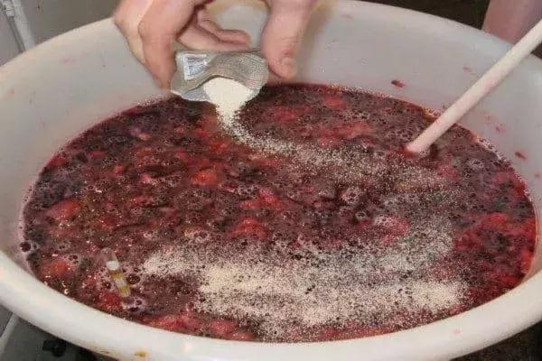 真正的红酒是怎么酿造的,喝了这么多年酒