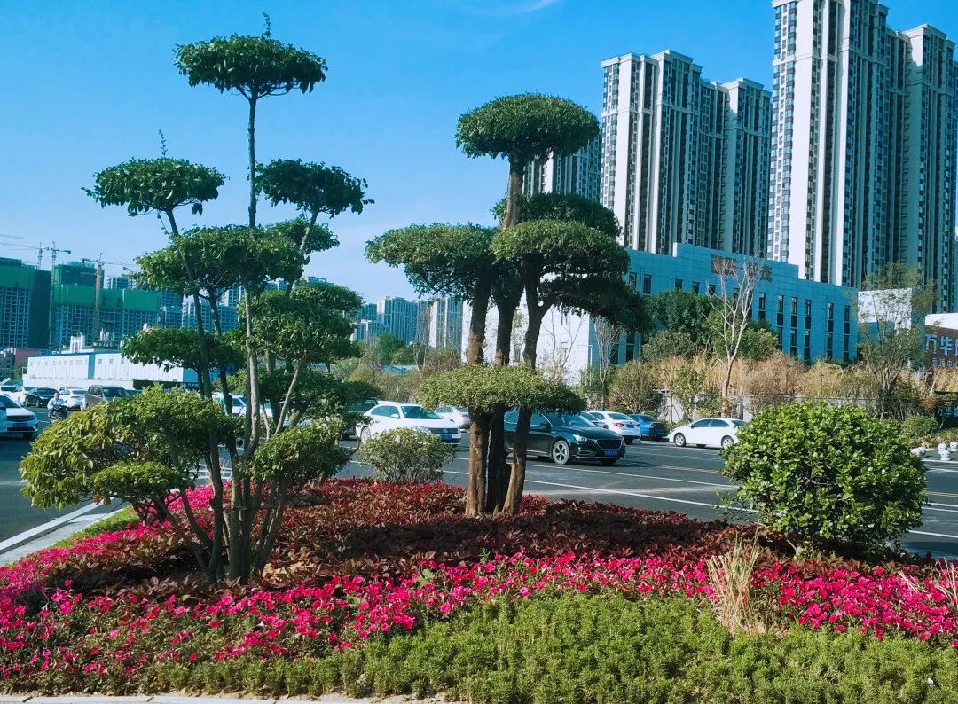 小说诸天万界无敌是多么寂寞,无敌是多么寂寞完整版一口气看完