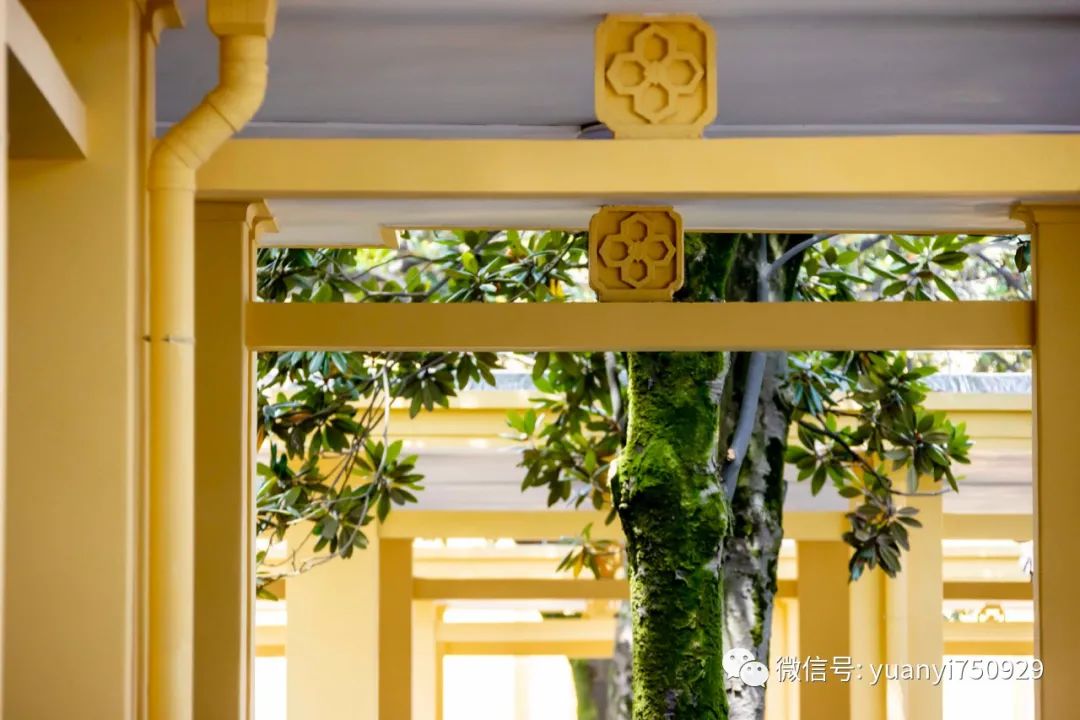 韶山绿皮火车站,打卡韶山这些红色地标