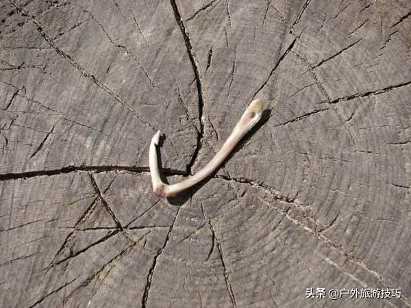 6-12岁自制鱼钩的方法,荒野求生野外自制鱼钩简单的方法