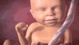 胎儿在妈妈肚子里干什么图片,胎儿在妈妈肚子里的位置变化