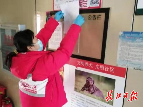 社区疫情防控一线群英谱,疫情期间社区志愿者帮居民买药