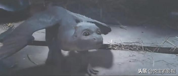 比较东方龙和西方龙的电影,电影中的西方龙对比东方龙