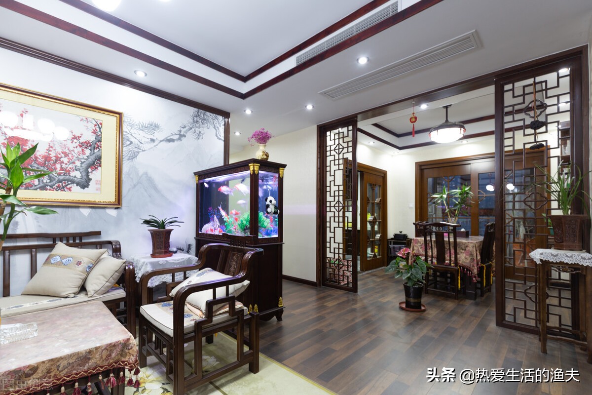 哪种金鱼最适合新手养,金鱼中哪种金鱼最好养