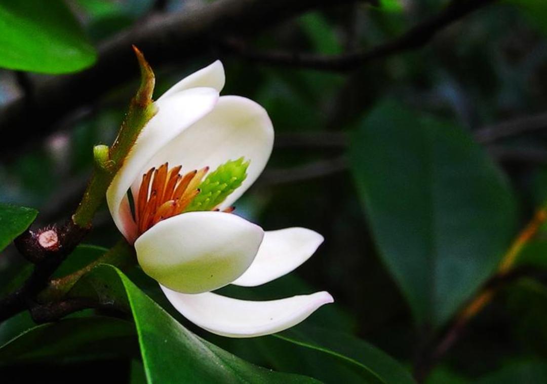 「原创诗词」管恩锋|莫言千载苍颜老也有风姿也有情（诗词21首）
