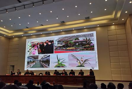 惠水第29届兰博会兰花获奖图片,惠水国际兰花展