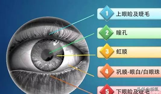 毛戈平画方形脸的眉形,毛戈平网课教程眉形矫正