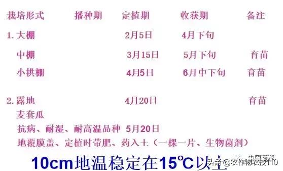 西瓜栽培技术全面的文字解释,西瓜栽培技术和方法