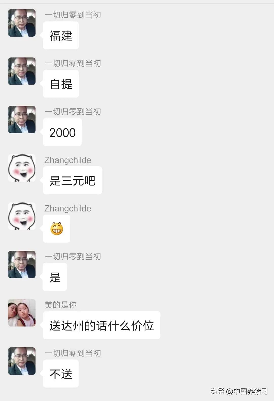 仔猪市场专门卖仔猪,求购150块钱一头仔猪