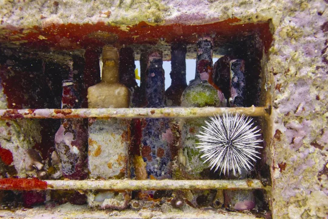 世界十大博物馆里面的东西,世界十大艺术博物馆