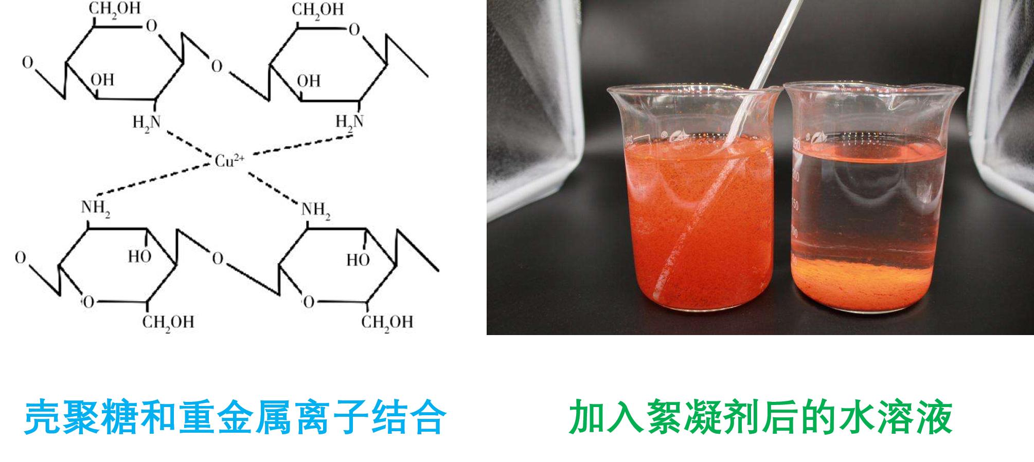 美食→生物材料|小龙虾和螃蟹→伤口敷料