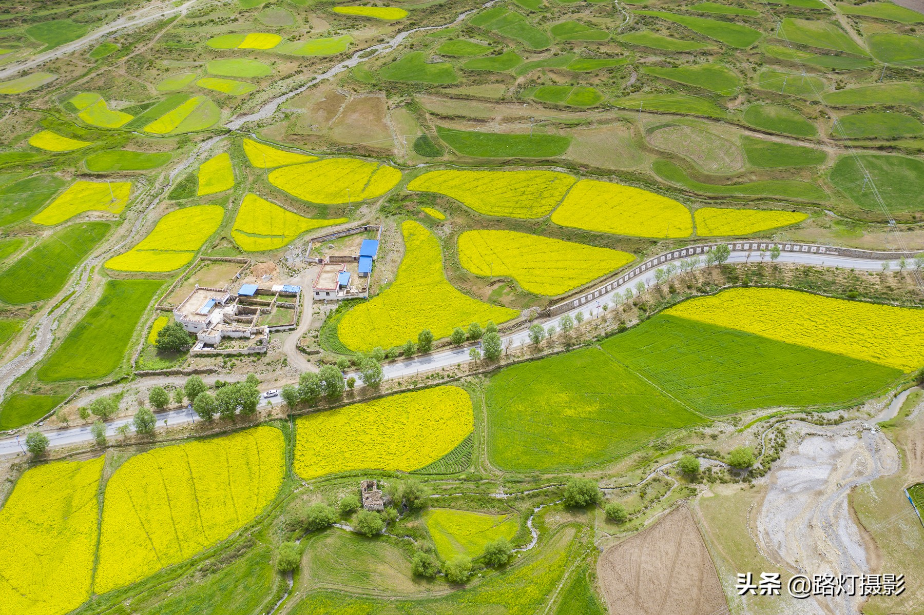 中国最美油菜花赏花地图,中国最美油菜花打卡地方