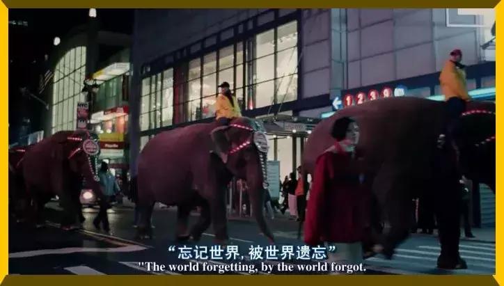 日结淘宝平面模特,日结淘宝模特拍摄是骗人的吗