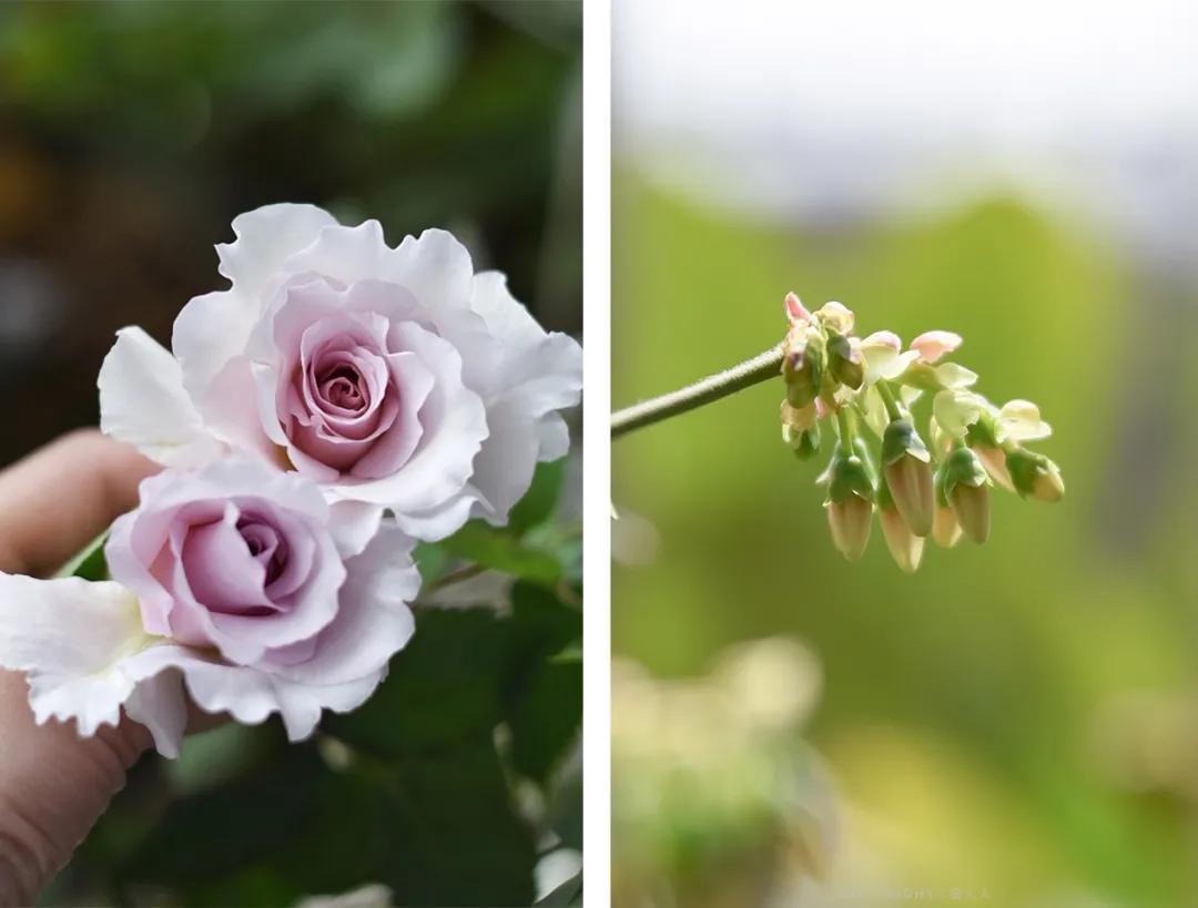 杭州女生老破小装修改造,装修漂亮女工