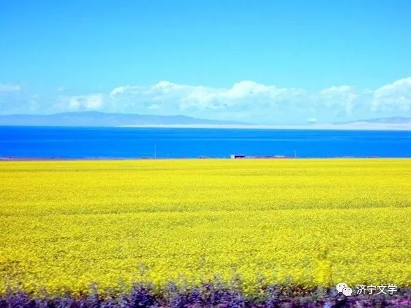 我与菩萨结缘,使我与菩萨结缘