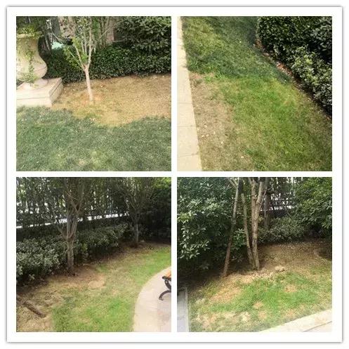 正弘澜庭叙和正弘府,郑州正弘澜庭叙和正弘府怎么选