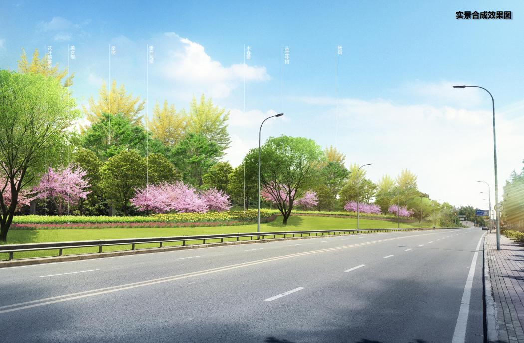 重庆科学城美景,重庆科学公园最新规划