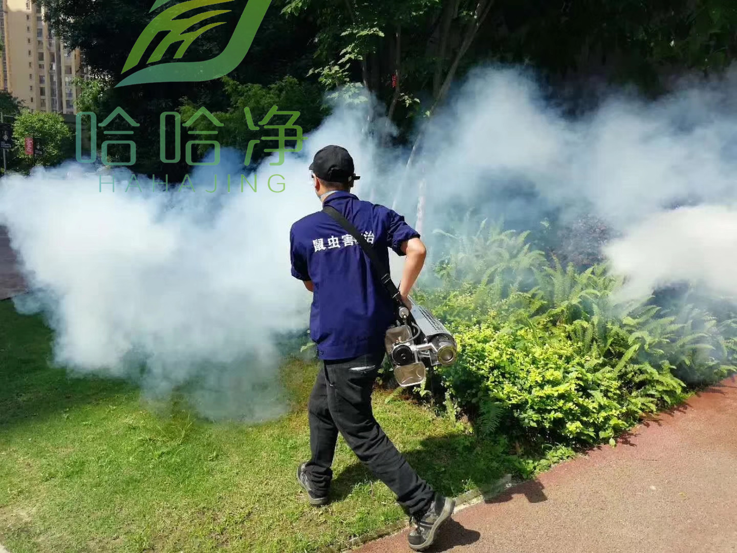 食品厂虫害控制,茂名食品厂虫害处理