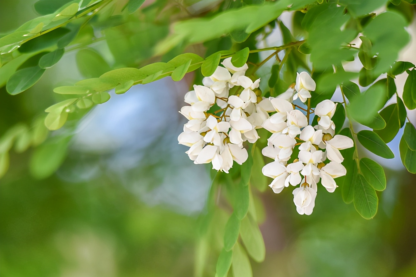 太行山之美巍峨壮丽,太行山最美的免费风景在哪里