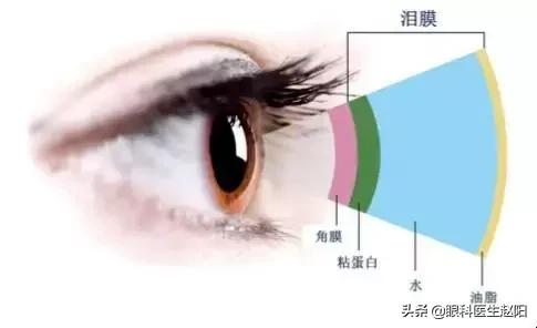 缓解干眼症的眼药水推荐,缓解干眼症的眼药水便宜