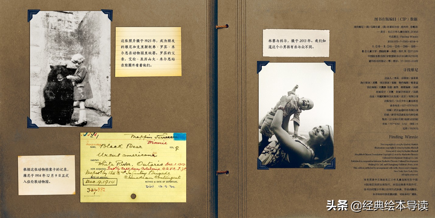 一只世界著名小熊的真实故事——《寻找维尼》导读