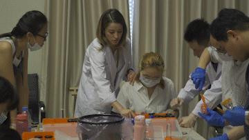 文萃画材北京,2024文萃画材教师培训