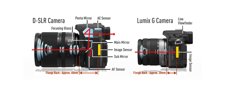 现在入手单反还是无反相机,无反相机为什么比单反贵