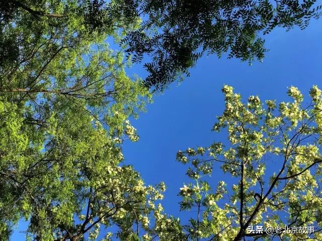 北京国庆节有没有集市,北京国庆假期逛大集