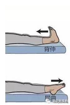 踝关节不稳康复训练,慢性踝关节不稳的运动康复修复