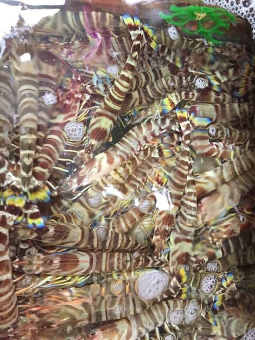 给自己一个度假的理由海南三亚,三亚度假的天堂