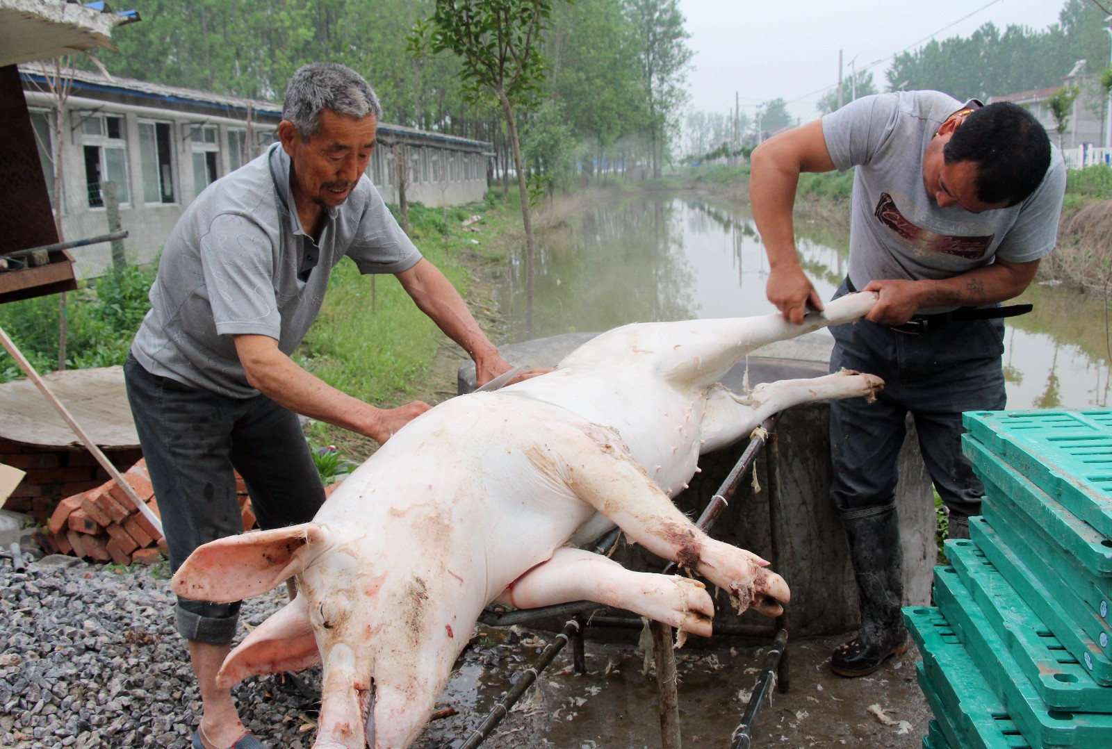 种植赔钱养殖赔钱农业的出路在哪,农民靠养殖发家赚钱
