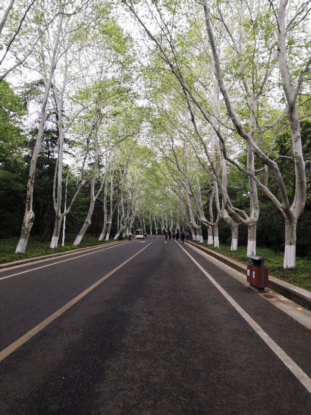 南京印象金陵,南京印象秦淮