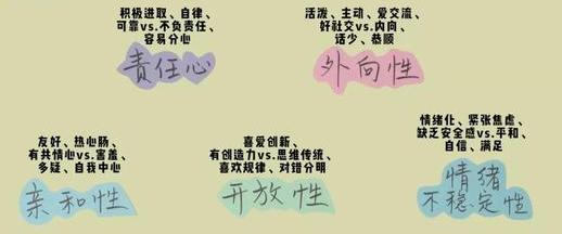 怎么看面相分析性格,如何看面相来识别一个人的性格