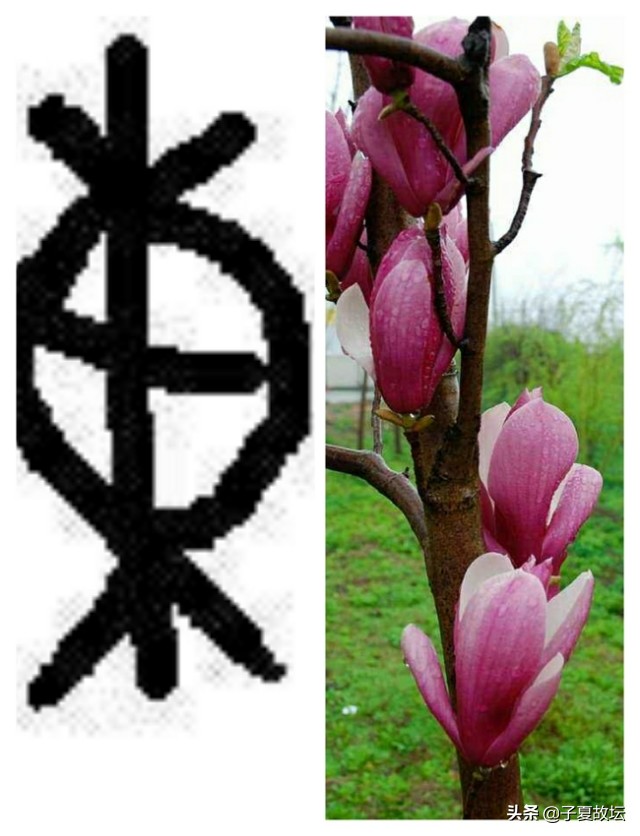 表示方位的汉字什么意思,东南西北这四个字还有别的意思吗