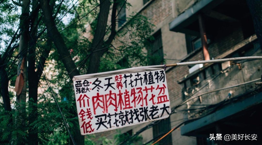 什么是西安市灵活就业专业户,什么是西安旅游五大必去景点