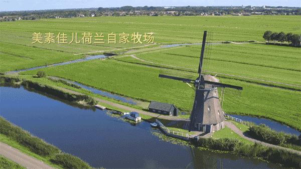 宝宝肚皮圆鼓鼓的是不是吃饱了,不要小看宝宝肚子疼