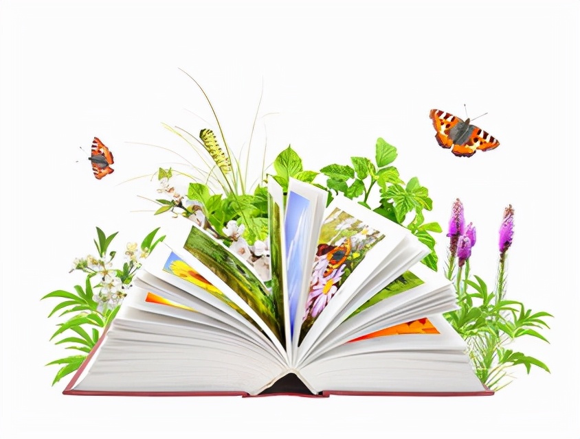 毕业论文拟题技巧大全,教育类毕业论文怎么拟题